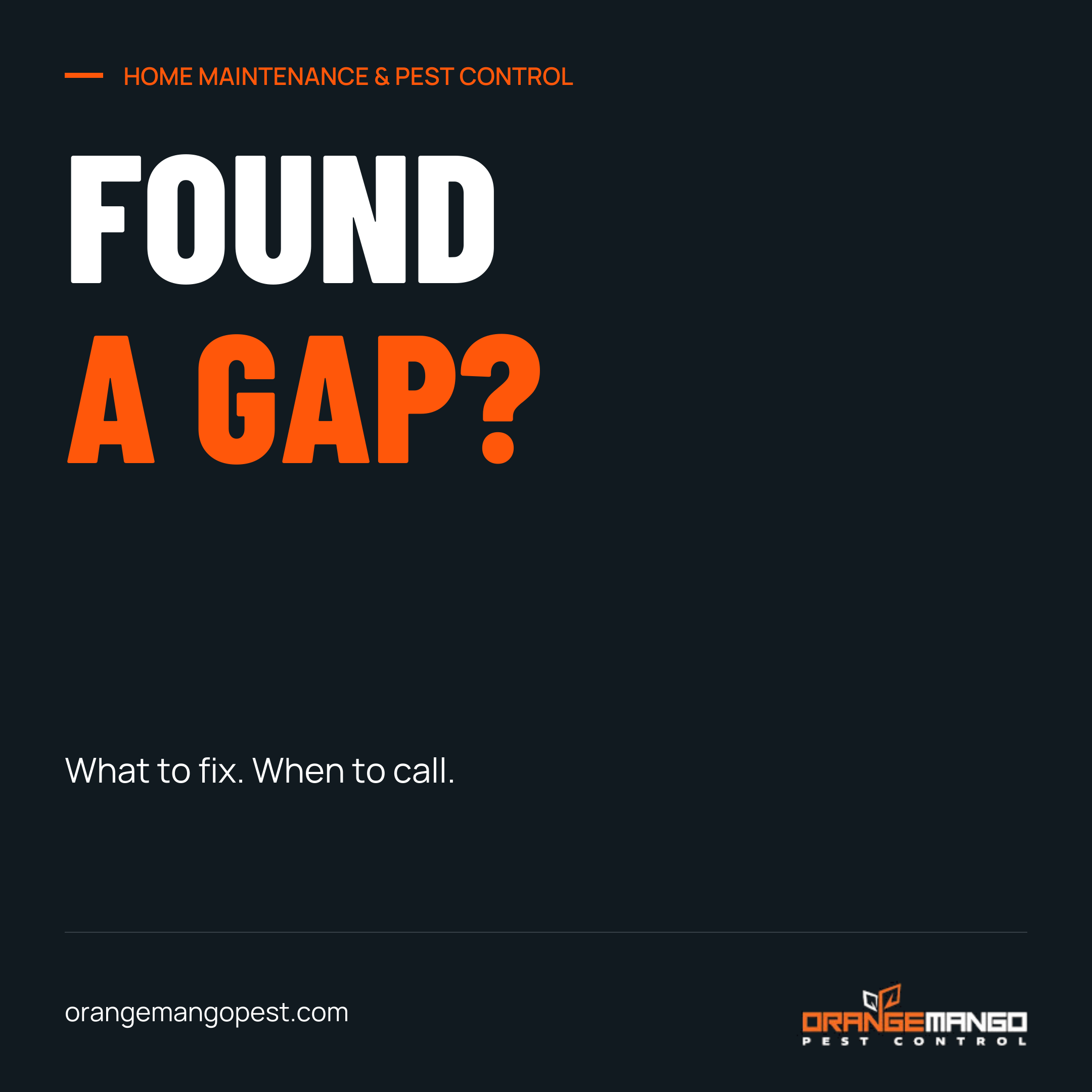 Orange Mango typography graphic with the words Found a gap? in white and orange on charcoal. Supporting text: What to fix. When to call. The company logo and orangemangopest.com appear at the bottom.