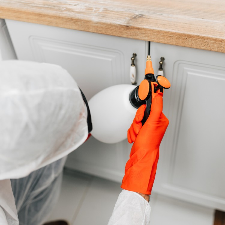 Pest Control Services in Jefferson City, MO Pest Control Services in Jefferson City, MO